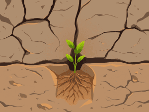 Growth and Resilience